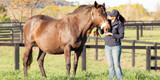 Laminitis in the Pregnant Mare