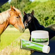 White Healer Cream for Horses