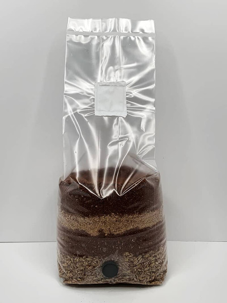 Techniques to Improve Life Span of Your "All-in-One Mushroom Grow Bag" Techniques to Improve Life Span of Your "All-in-One Mushroom Grow Bag"