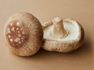 Exploring the nutritional value of shiitake mushrooms