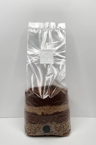 https://cdn11.bigcommerce.com/s-cj1hz3pz46/images/stencil/320w/image-manager/an-all-in-one-mushroom-grow-bag-for-wood-species-mushrooms-such-as-oyster-mushrooms.jpg?t=1688234684