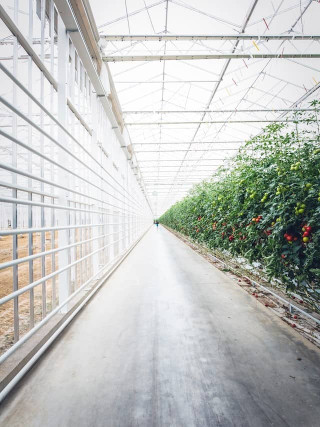 Automated Mushroom Farm Greenhouse - Raspberry Pi Powered Mushroom Cultivation