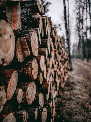 effective-stacking-techniques-for-inoculated-logs