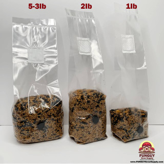 FunGuy's Premium Spawn Bags - Sustainable Mushroom Cultivation