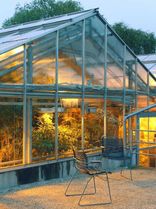 greenhouse-using-various-cultivation-techniques-cultivation-techniques-traditional-vs.-innovative-approaches