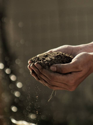 Hand holding a mushroom substrate recipe mix