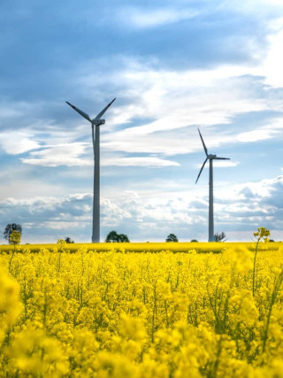 Sustainable electric wind generators, wind turbines in a field