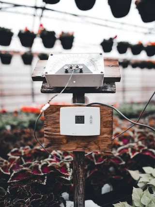 Temperature Alert Sensor and Thermostat - Ensuring Optimal Conditions for Mushroom Cultivation