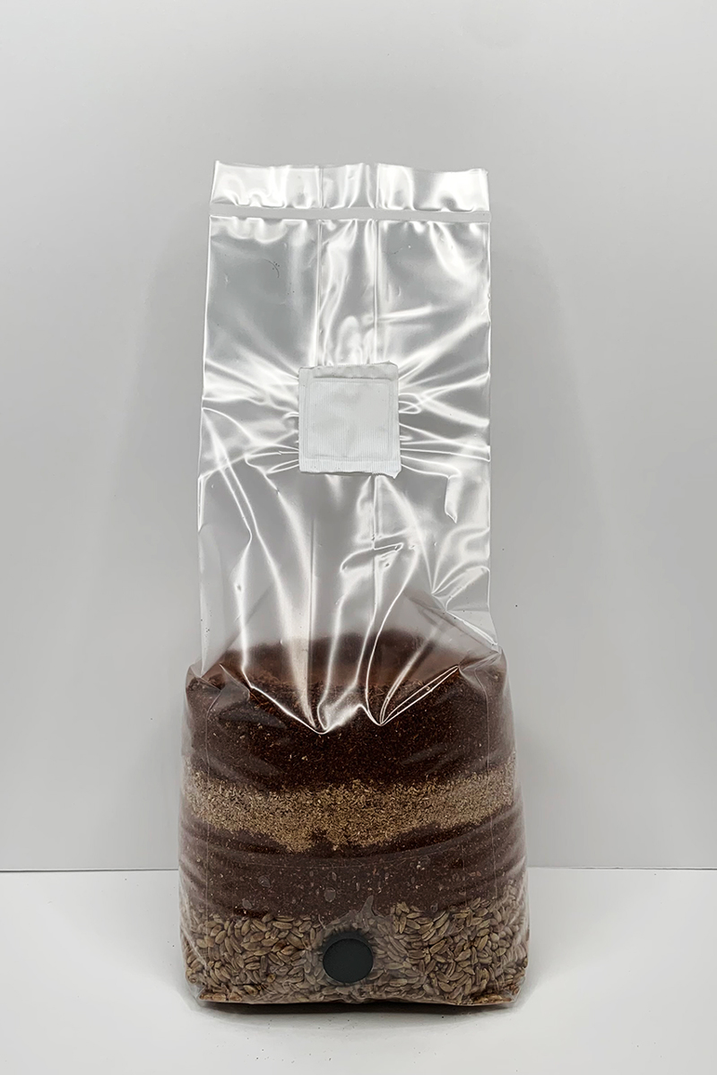 All In One Wood Lovers Mushroom Grow Bag with Sawdust and Hardwood