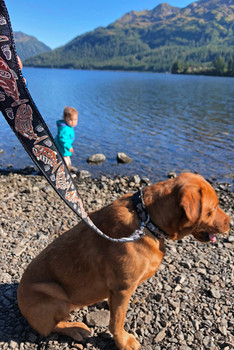 LEASH /  Salmon Trim (11 color options)