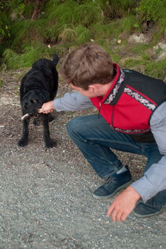 MEN'S KODIAK VEST / (Softshell) / Black, Sockeye Red, / Salmon-Red (trim)