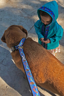 LEASH / Sea Otters Trim (2 color options) - Copper River Fleece
