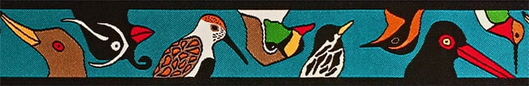 alaskachatterteal.jpg alaskachatterteal.jpg
