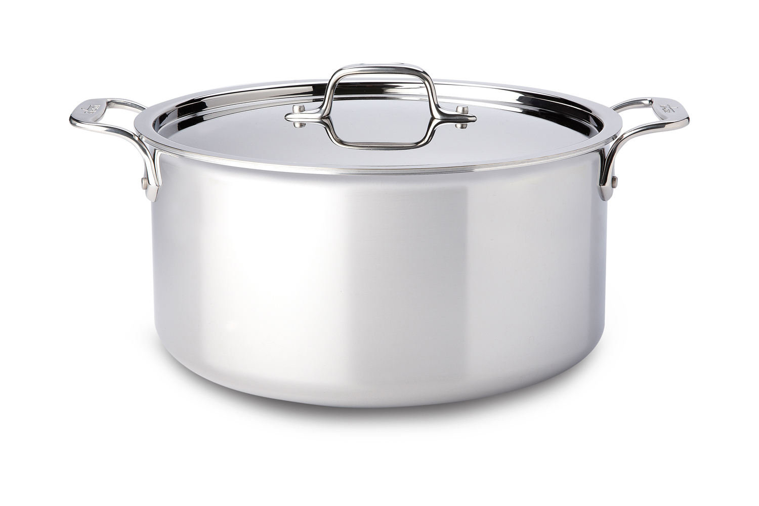 All-Clad d5 Stainless-Steel Stock Pot with Immersion Blender, 8-Qt.