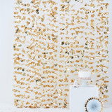 Pick & Mix Backdrop Photobooth