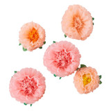 Lets ParTea Tissue Paper Flower Pom Poms