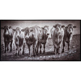 Six Pack Framed Canvas by Linens and More