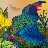 Tu Meke Tui English Hardback by Little Love Publishing