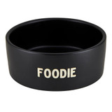 Foodie Ceramic Pet Bowl by Santa Barbara Design Studio