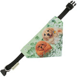 Hide & Seek Small Pet Scarf by Henry Cats & Friends