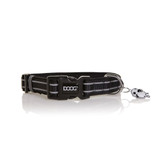 Neoprene Dog Collar