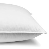 95/5 Duck Feather and Down European Pillow