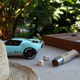 Playforever Ken Parton - Mint / White