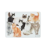 Purrrfect Moments Surface Protector by Ashdene