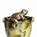 Frog Hanging Rim II Gold by Linens and More Frog Hanging Rim II Gold by Linens and More