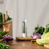 Herb Savor Pod 2.0 Single by Prepara
