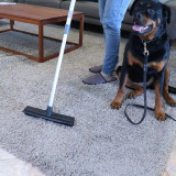 Pet Hair Broom by White Magic