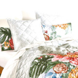 Florence Quilted Reversible Coverlet Set or Euro P/C by Renee Taylor
