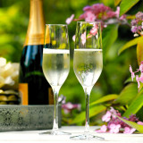 Ultra Flute 185ml (6 Pk) by Stolzle