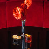 Berlin Whisky Glasses 300ml (6 Pk) by Stolzle