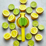 Juicemax Citrus Press by Joseph Joseph