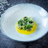 Maze Deep Bowl 13cm (12 Pk) by Bonna