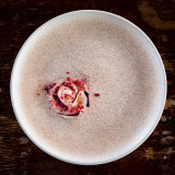 Luca Salmon Plate 21cm (12 Pk) by Bonna