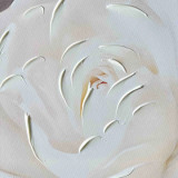 Gardenia Canvas Brown Frame by Linen & More - 60x80cm