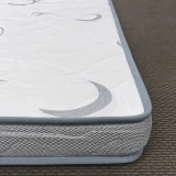 Commercial Double-Sided Foam Mattress In A Box