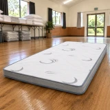 Commercial Double-Sided Foam Mattress In A Box