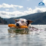 Rope Bumper Outdoor Dog Toy by Hound2O