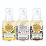 The Classics Mini Foaming Soap Set by Michel Design Works