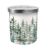 Evergreen Jar Candle by Michel Design Works