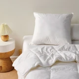 All Seasons European Pillow By Linen House