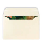 Tui Wai (pack of 6) by Flox