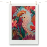 Antipodes Major Mitchell & Orchid by Flox