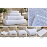 Commercial Regal Fastech Towel Range