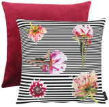 Leony Cushion by Apelt