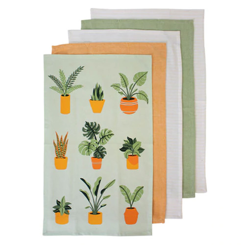 Clearance Plant Life Green 5 Pack Kitchen Towel by Ladelle