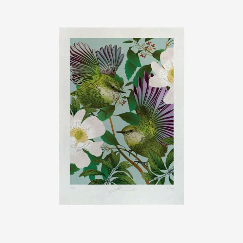 Titipounamu & Karamu - A3 - Print by Flox